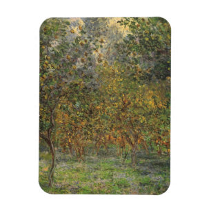 Lemon Grove in Bordighera von Claude Monet Magnet