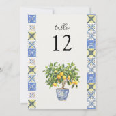 Lemon Grove Italienisch Inspirierte HochzeitsTisch (Rückseite)