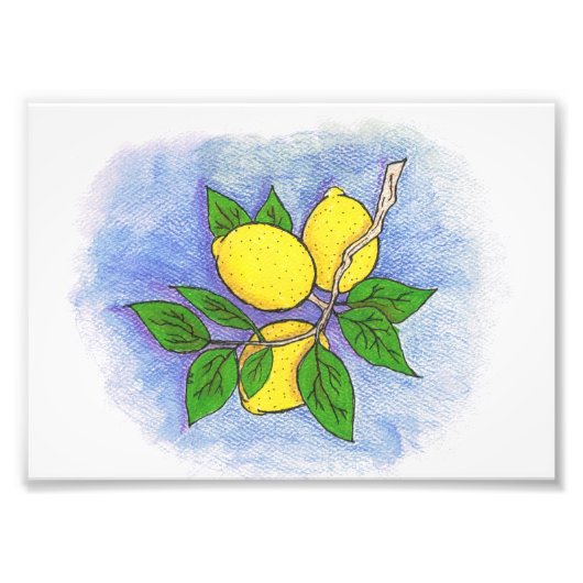 Lemon Illustration Foto Print (Vorne)