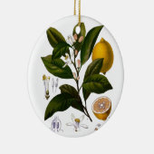 Lemon Keramikornament (Rechts)