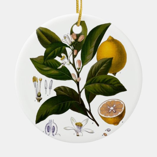Lemon Keramikornament (Vorne)