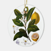 Lemon Keramikornament (Links)