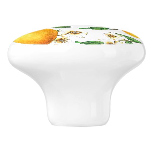 Lemon Leaf Fruit Keramikknauf (Seitenansicht)