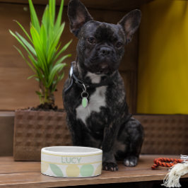 Lemon/Limon Citrus Retro Hund/Katzenschale Napf