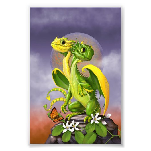Lemon Limon Dragon 4x6 Print Fotodruck (Vorne)