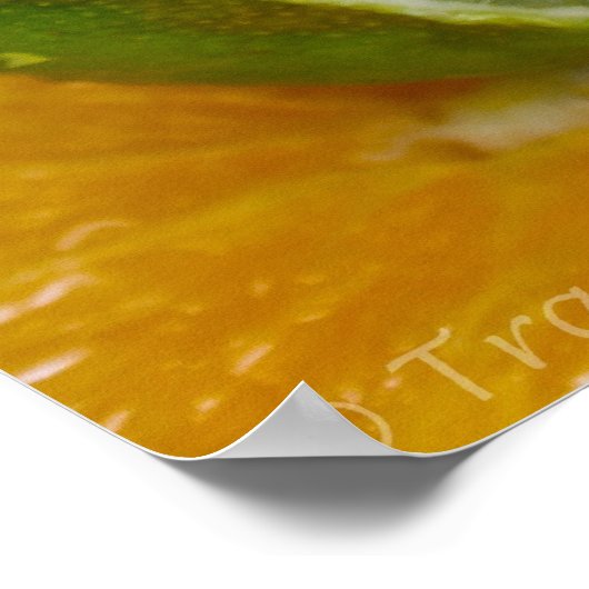 Lemon, Limon & Orange Poster (Ecke)
