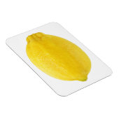 Lemon Magnet (Rechte Seite)