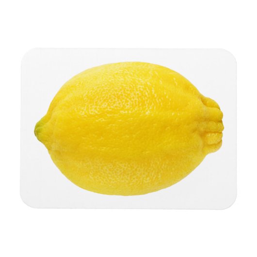 Lemon Magnet (Horizontal)