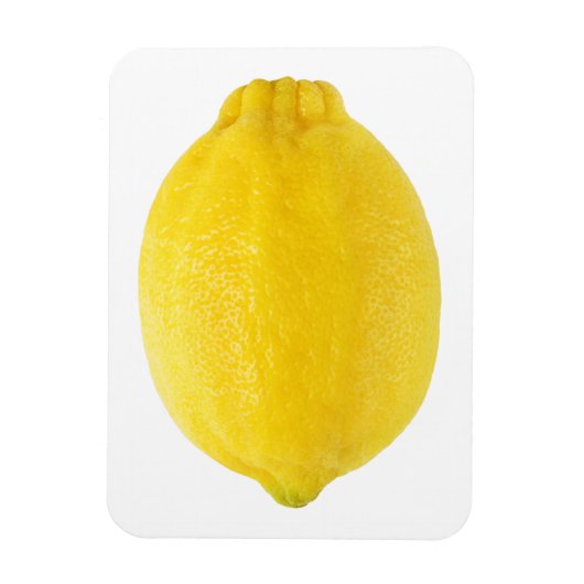 Lemon Magnet (Vertikal)