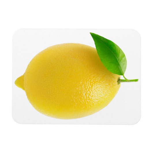 Lemon Magnet (Horizontal)
