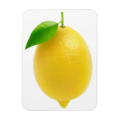 Lemon Magnet (Vertikal)