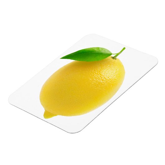 Lemon Magnet (Linke Seite)