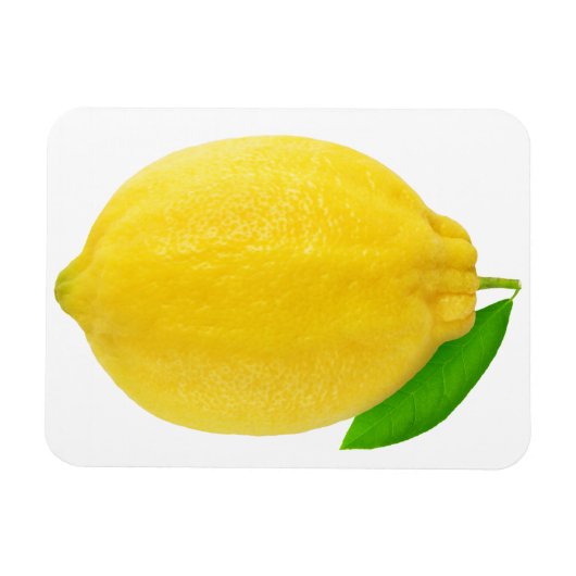 Lemon Magnet (Horizontal)