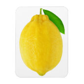 Lemon Magnet (Vertikal)