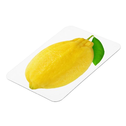 Lemon Magnet (Linke Seite)