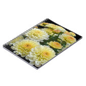 Lemon Meringue Chrysanthemums Notizblock (Linke Seite)