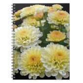 Lemon Meringue Chrysanthemums Notizblock (Vorderseite)