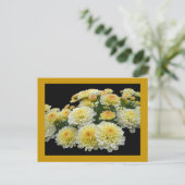 Lemon Meringue Chrysanthemums Postkarte (Stehend Vorderseite)