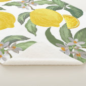 Lemon nahtlos Vintages Muster. Tropischer Obstbai Sherpadecke (3/4)