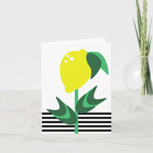 Lemon Obstgarten Pflanze (Vorderseite)