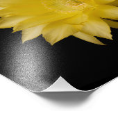 Lemon Pie Cactus Blume Delight Fotodruck (Ecke)