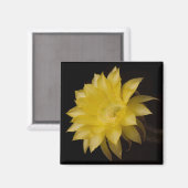 Lemon Pie Cactus Blume Delight Magnet (Vorderseite/Rückseite)