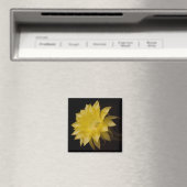 Lemon Pie Cactus Blume Delight Magnet (In Situ (Geschirrspüler))