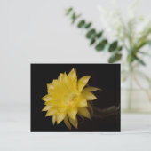 Lemon Pie Cactus Blume Delight Postkarte (Stehend Vorderseite)