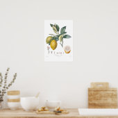 Lemon Poster (Küche)