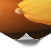 Lemon Poster (Ecke)