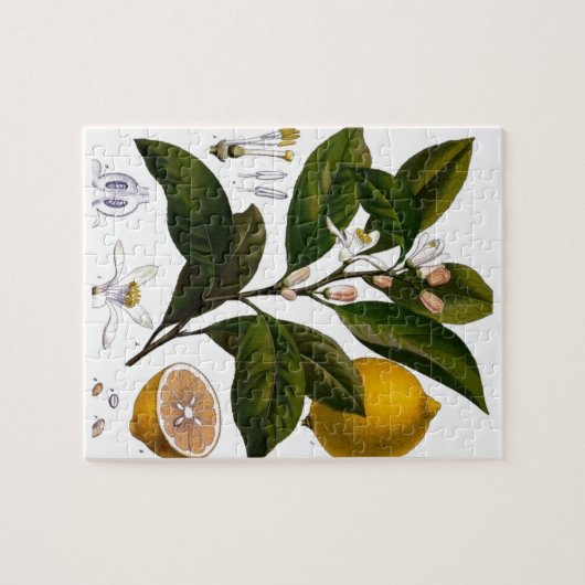 Lemon Puzzle (Horizontal)