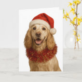 Lemon roan Cocker Spaniel Happy Christmas card Karte (Gelbe Blume)