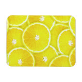 Lemon-Scheiben Magnet (Horizontal)