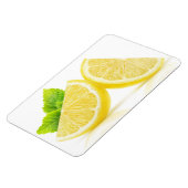 Lemon-Scheiben Magnet (Linke Seite)