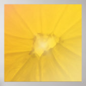 Lemon Section Poster (Vorne)