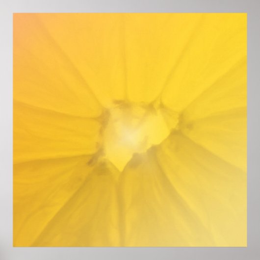 Lemon Section Poster (Vorne)