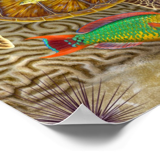 Lemon Shark Over Coral Reef Poster (Ecke)