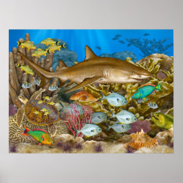 Lemon Shark Over Coral Reef Poster