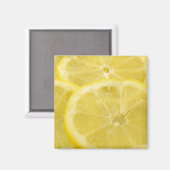 Lemon Slices Magnet (Vorderseite/Rückseite)