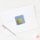 Lemon-Studie Quadratischer Aufkleber (Umschlag)