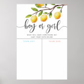 Lemon Theme Gender Reveal Voting Sign Poster (Vorne)
