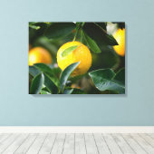 Lemon Tree Fruit Fotografy Leinwanddruck (Insitu (Holzboden))