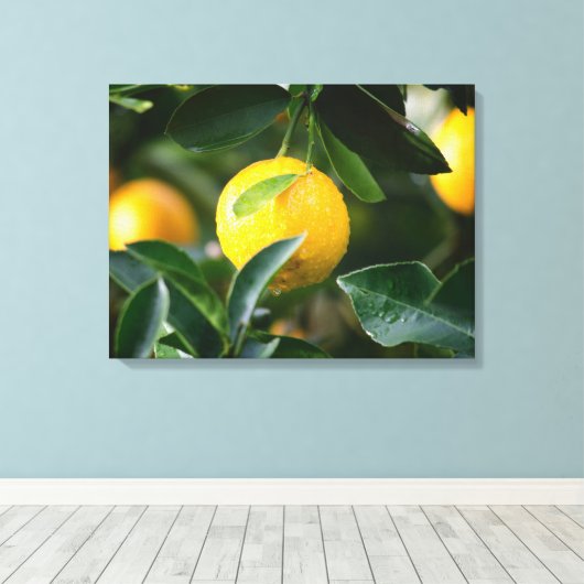 Lemon Tree Fruit Fotografy Leinwanddruck (Insitu (Holzboden))