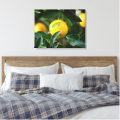 Lemon Tree Fruit Fotografy Leinwanddruck (Insitu (Schlafzimmer))