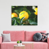Lemon Tree Fruit Fotografy Leinwanddruck (Insitu (Wohnzimmer))