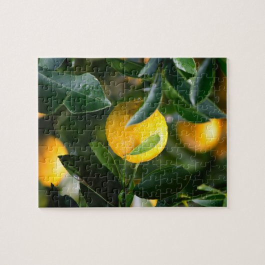 Lemon Tree Fruit Fotografy Puzzle (Horizontal)