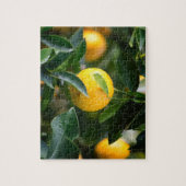 Lemon Tree Fruit Fotografy Puzzle (Vertikal)