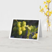 Lemon Tree Nah-up Karte (Gelbe Blume)