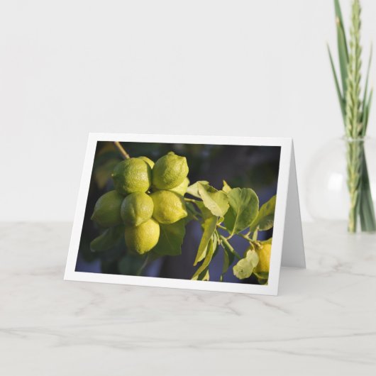 Lemon Tree Nah-up Karte (Vorderseite)