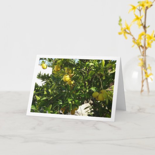 Lemon Tree Portrait Karte (Gelbe Blume)